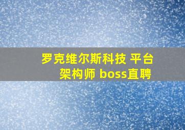 罗克维尔斯科技 平台架构师 boss直聘